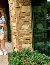 Busty Tattooed Babe Outdoor Strip Pics Gallery