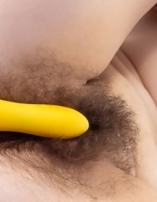 Hairy Pussy Dildo Play Photo Set