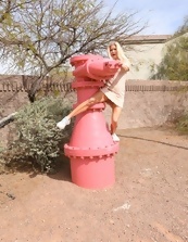 Mature Babe Outdoor Tease Gallery