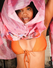 Ebony Babe Photos: Naked Hairy Pussy Tease