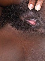 Ebony babe spreads her thick hairy pussy wide for the camera
