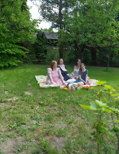 Busty Milfs Outdoor Picnic Pictures